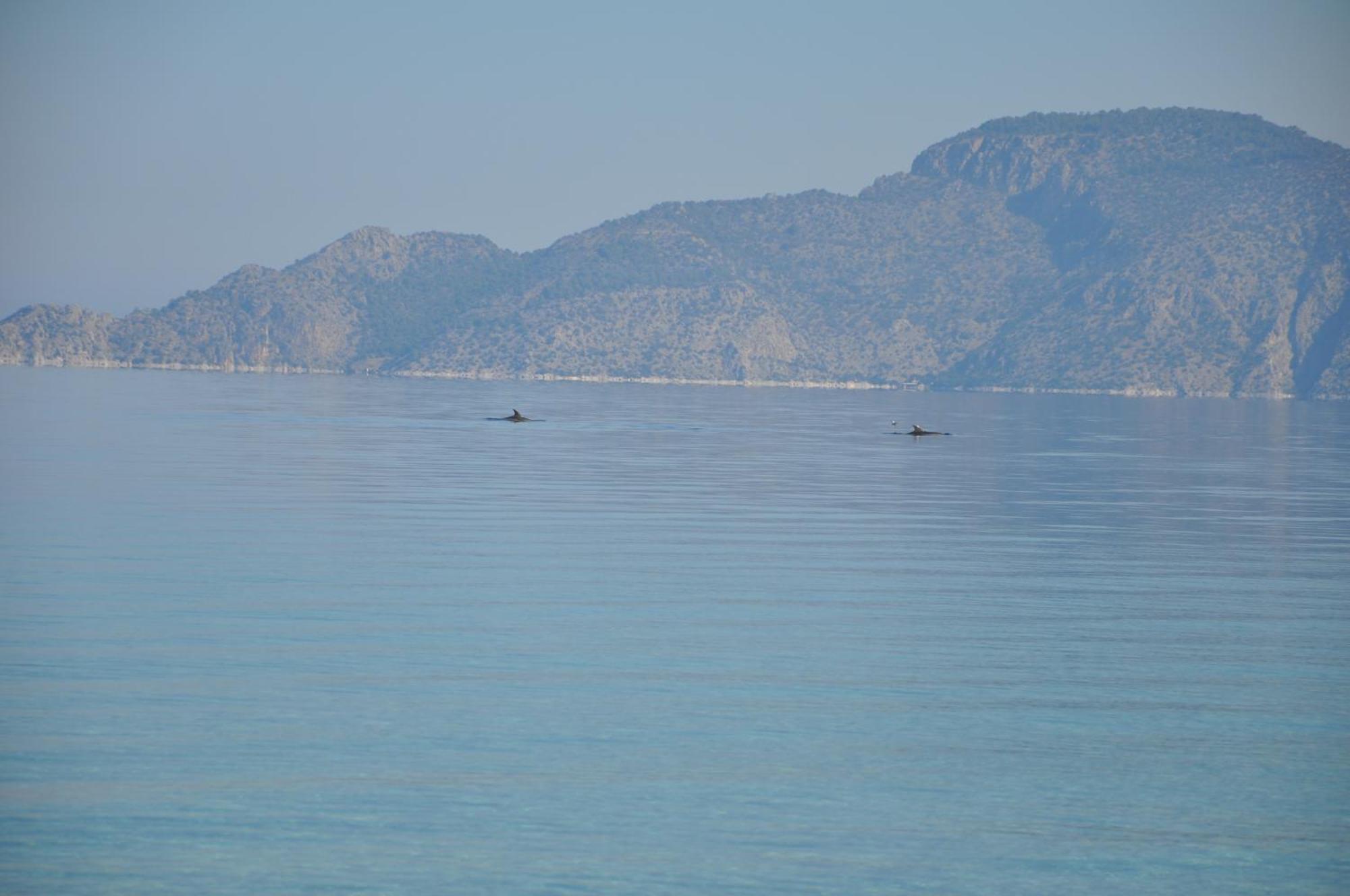 Villa In Kalloni Direkt Am Meer, Tolle Aussicht Exteriér fotografie