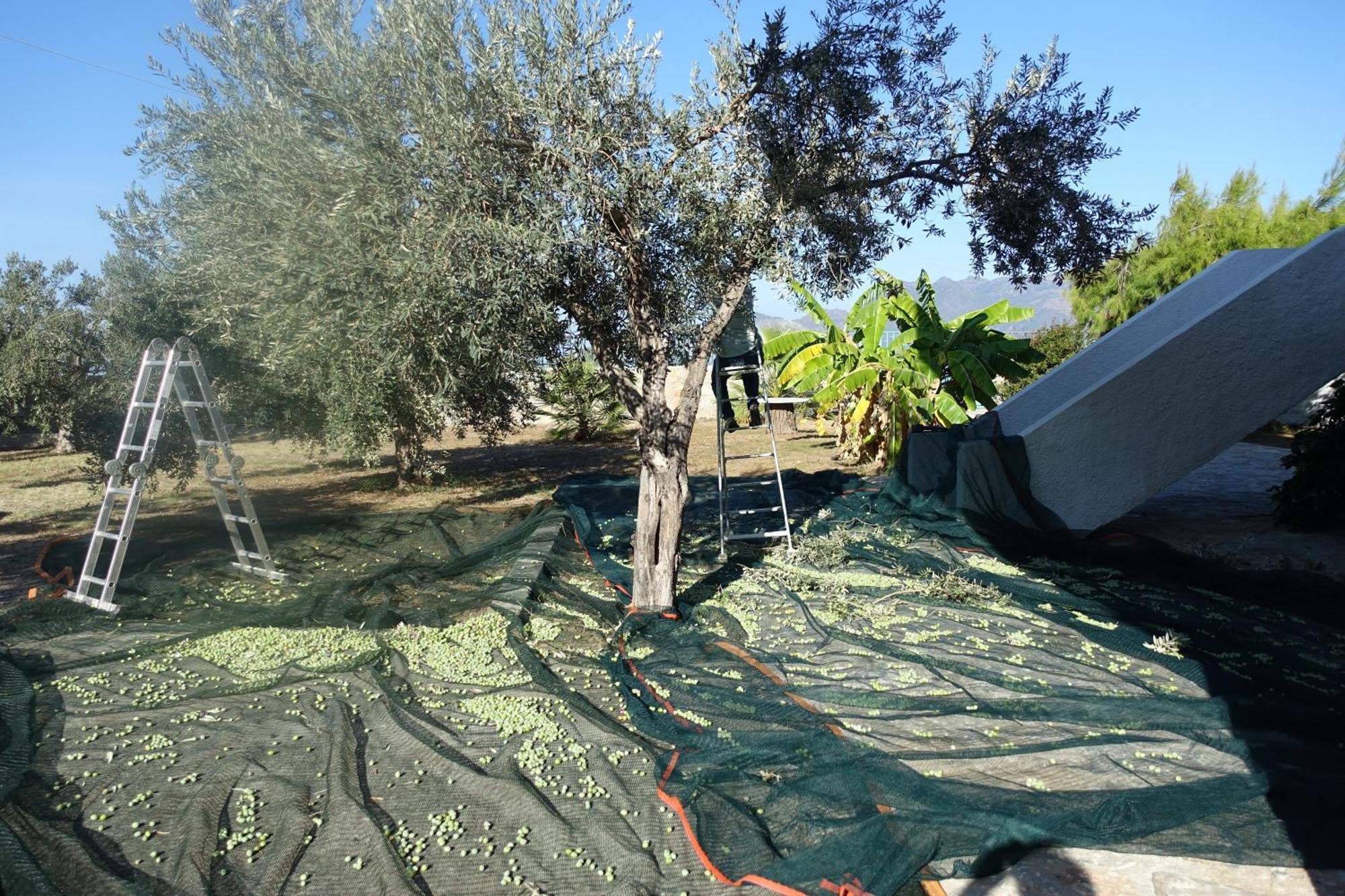 Villa In Kalloni Direkt Am Meer, Tolle Aussicht Exteriér fotografie